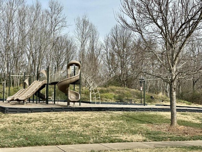 Building Photo - 4531 Hubbard Falls Dr