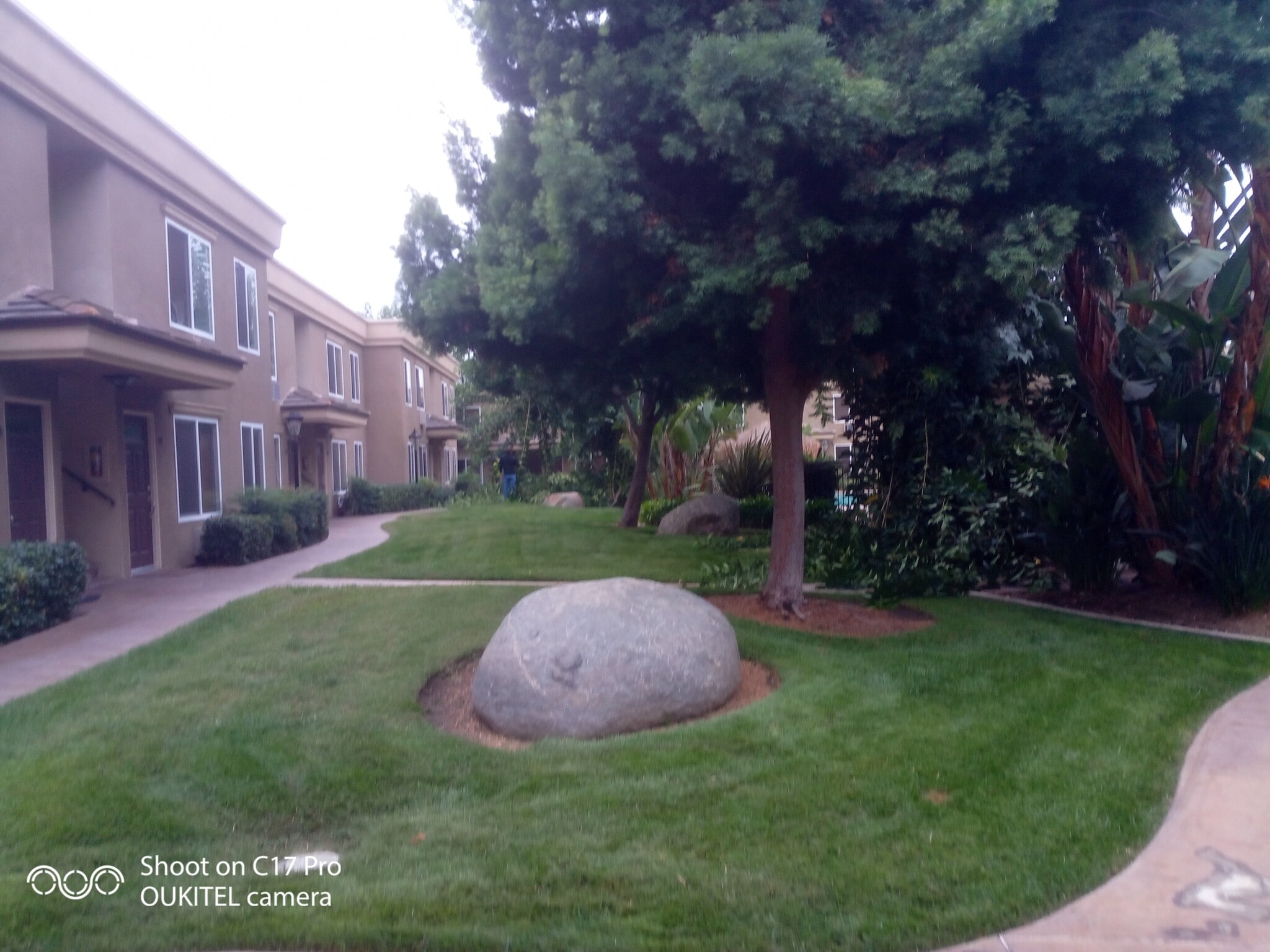 Building Photo - 792 Avocado Ave