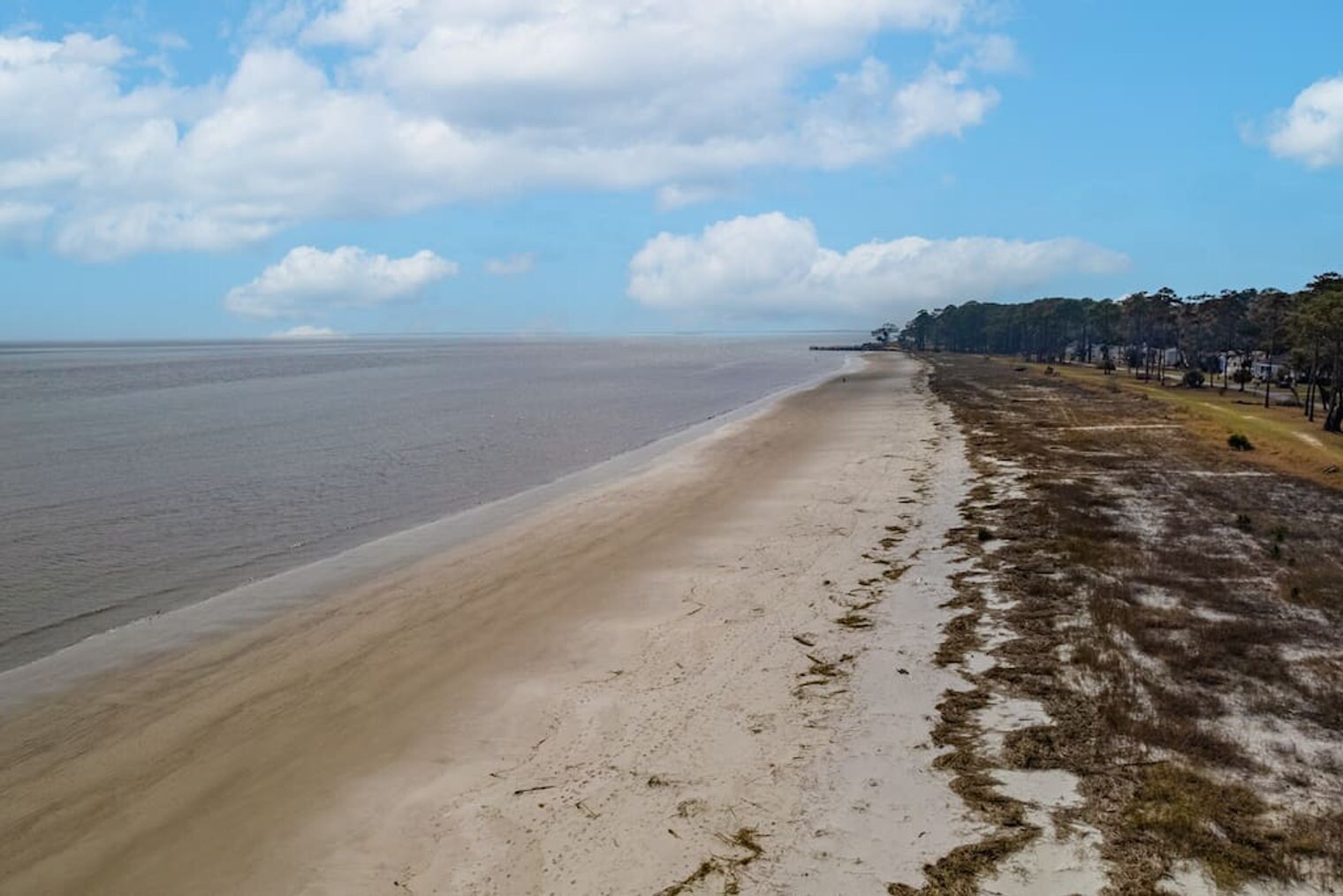 Building Photo - 152 Avenue of Oaks