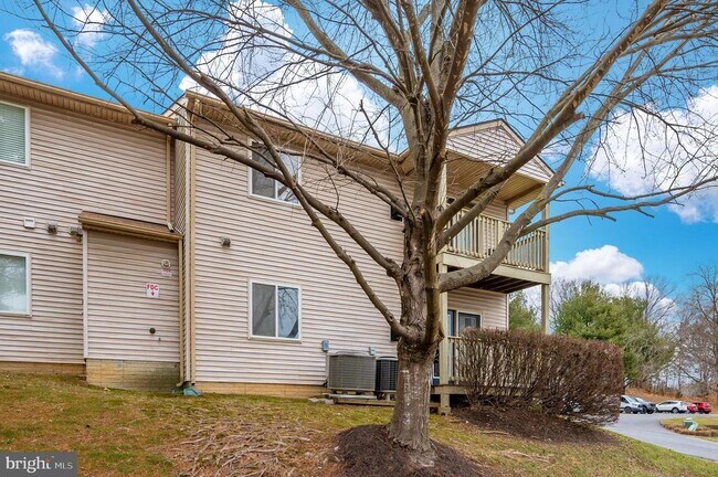 Building Photo - 10247 Redtail Ct
