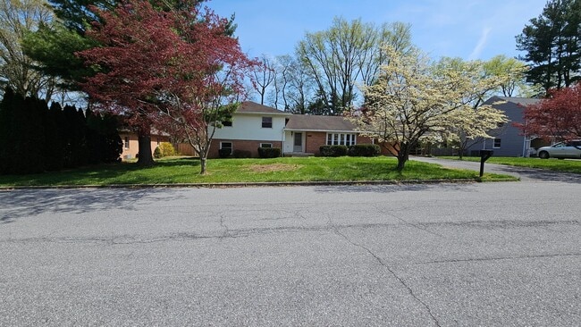 Building Photo - JUST REDUCED!  4 Bedroom Single Family Home