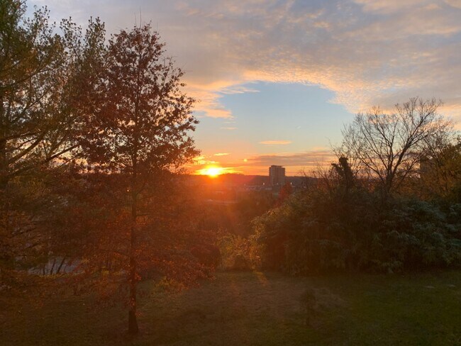 Beautiful sunrise views - 100 Roberts Ln