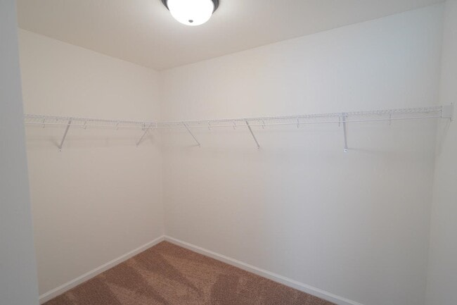 Building Photo - 2852 Mews Lndg