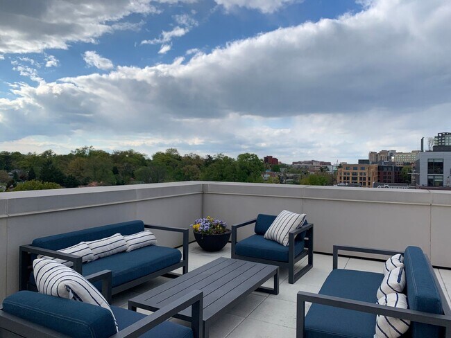 Building Photo - Gorgeous 2/2 with luxurious Lobby Level Condo in Hampden Row