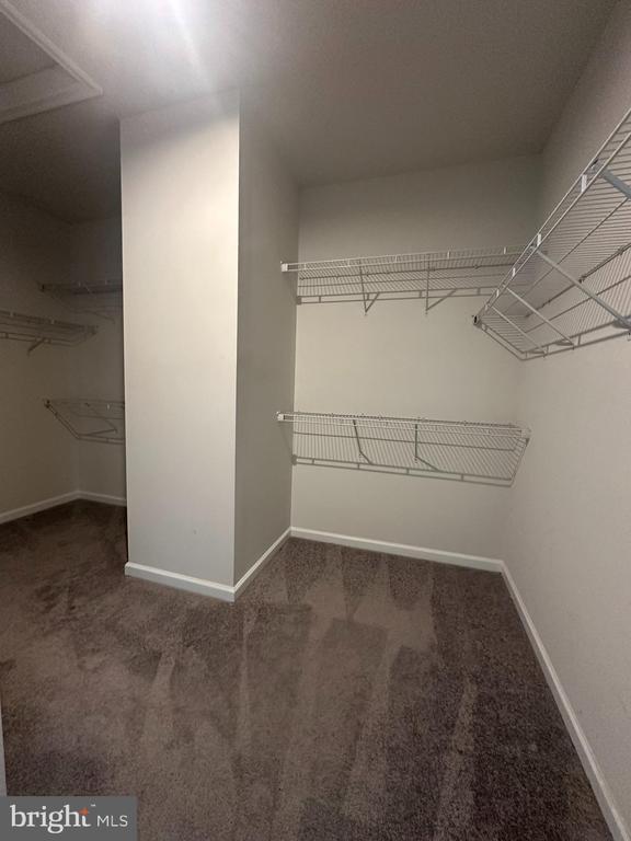 Building Photo - 10402 Steeplechase Run Ln