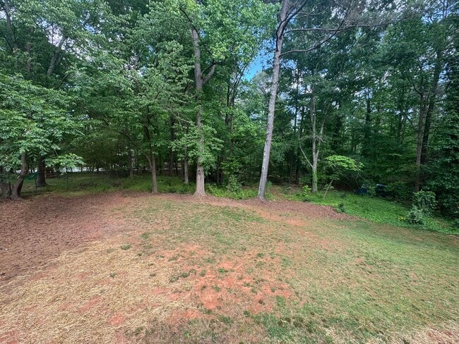 Building Photo - Brookstone Single-Story Ranch Home!