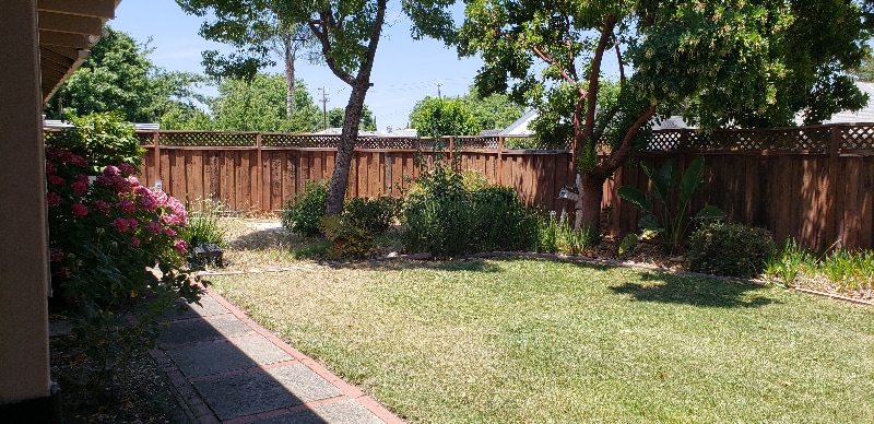 Building Photo - 2136 Dena Dr