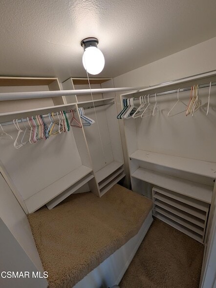 Building Photo - 2853 Instone Ct