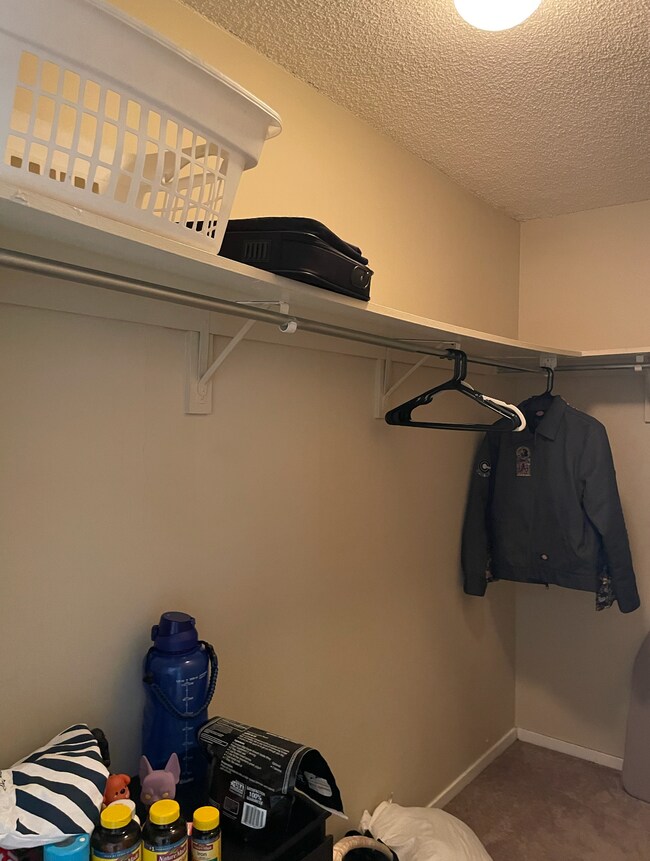 2 walk in closet - 801 S Plymouth Ct
