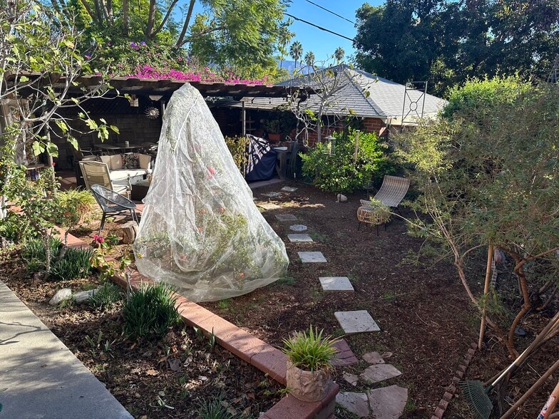 Yard with protected Pomegranate Tree - 4680 College View Ave