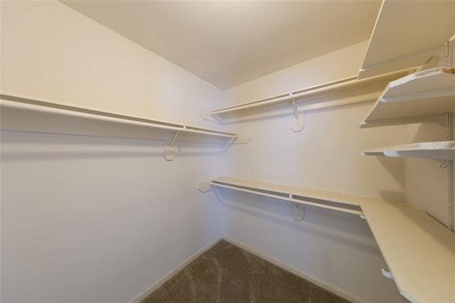 Building Photo - 2119 Antibes Dr