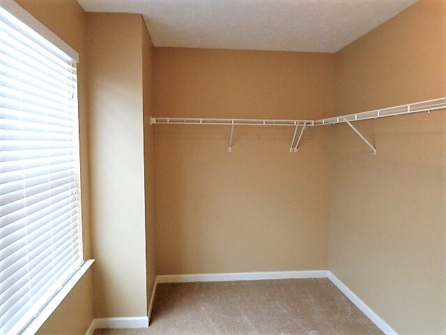 Building Photo - 4056 Hollis Hill Dr