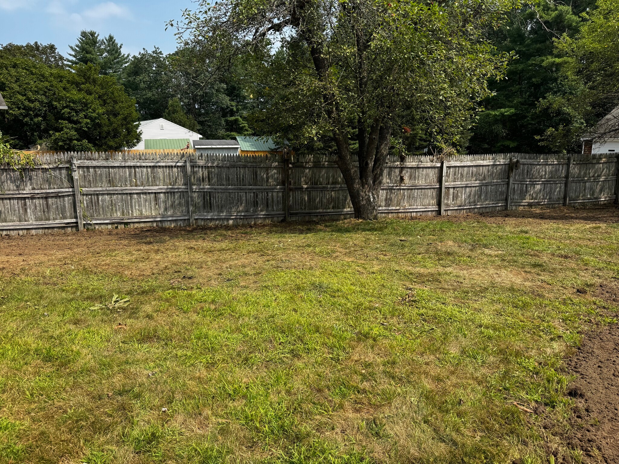 Very large lawn - 323 Matthews Rd