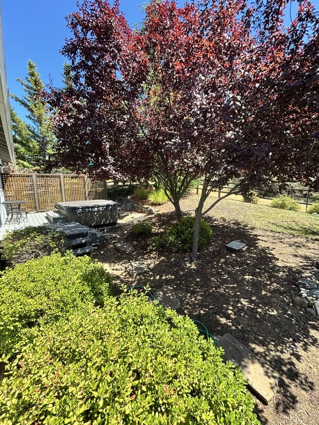 Building Photo - 901 Morgan Ranch Dr