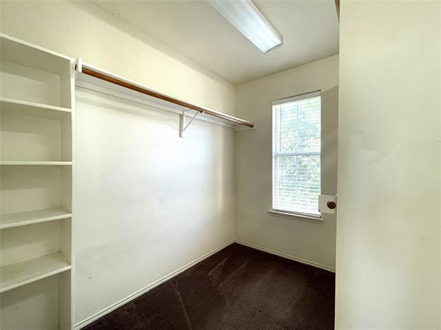 Building Photo - 4316 Cutter Springs Ct
