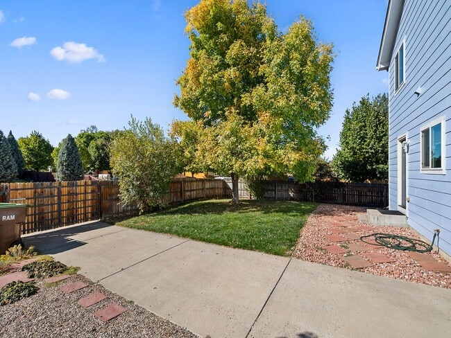 Building Photo - Newly Updated 3-Bed 2-Bath Home in Fort Collins, CO!
