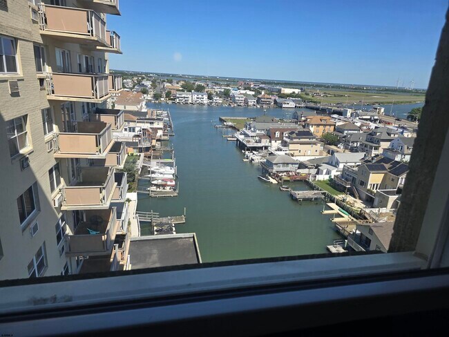 Building Photo - 3817 Ventnor Ave