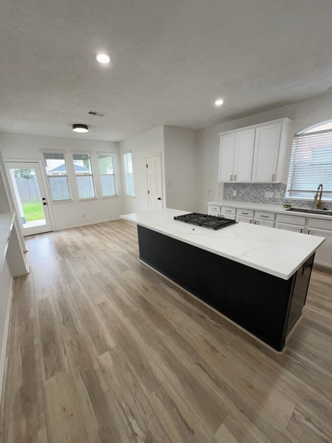 Building Photo - 16411 Jadestone Terrace Ln