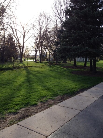 back yard - 11722 Mill Street