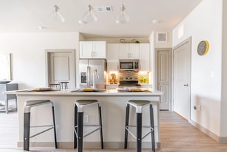 Building Photo - Bright, Bold, and Budget-Friendly