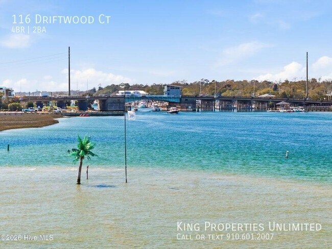 Building Photo - 116 Driftwood Ct