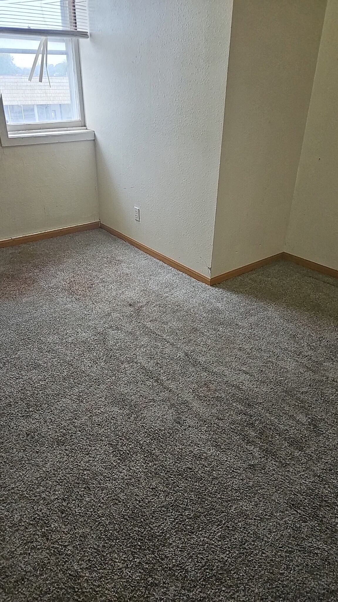 Building Photo - 125 Main St