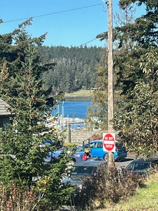 Building Photo - **Bright & Updated 2-Bedroom Condo with Water View in Friday Harbor!**