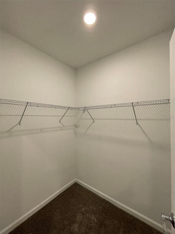 Building Photo - 2165 Sweet Honey Ln