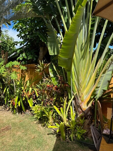 Building Photo - 4477 Sierra Dr