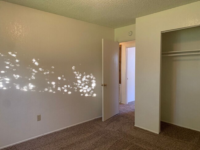 Building Photo - 4 bedroom home in convenient location on Alta Mesa Dr.