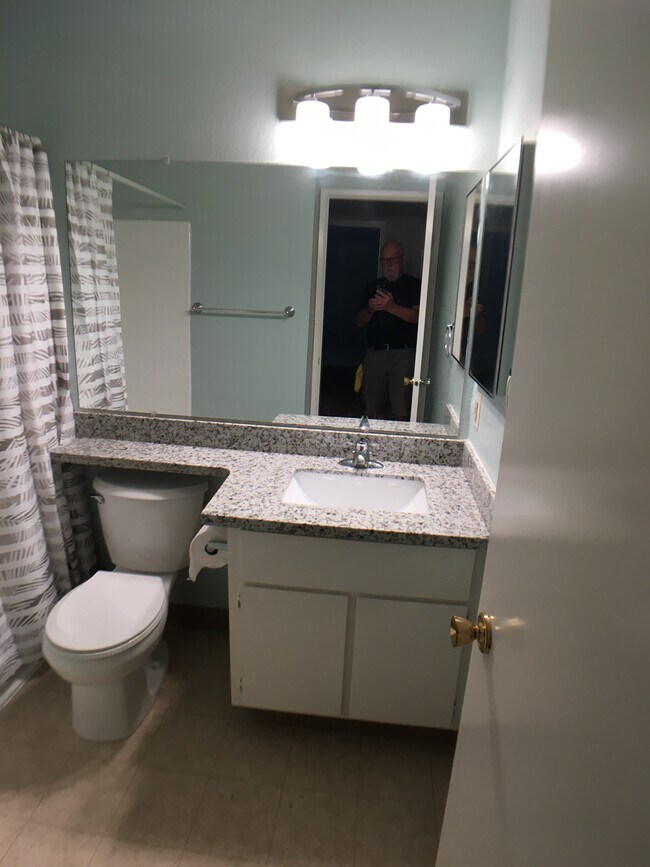 Hall Bathroom - 274 Shadow Run Dr