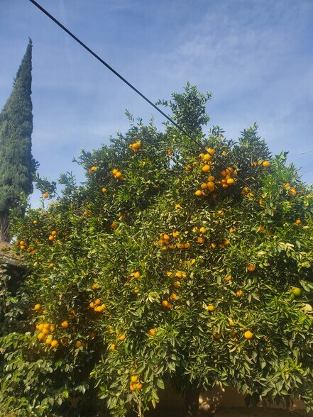 Building Photo - 13527 Burbank Blvd