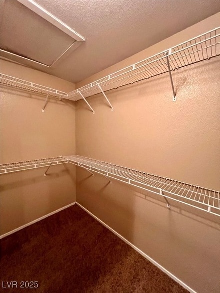 Building Photo - 10007 Candle Canyon Ct
