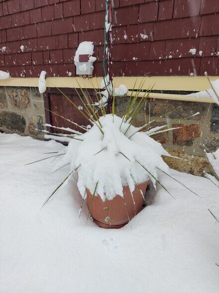 Building Photo - 14 Rice St