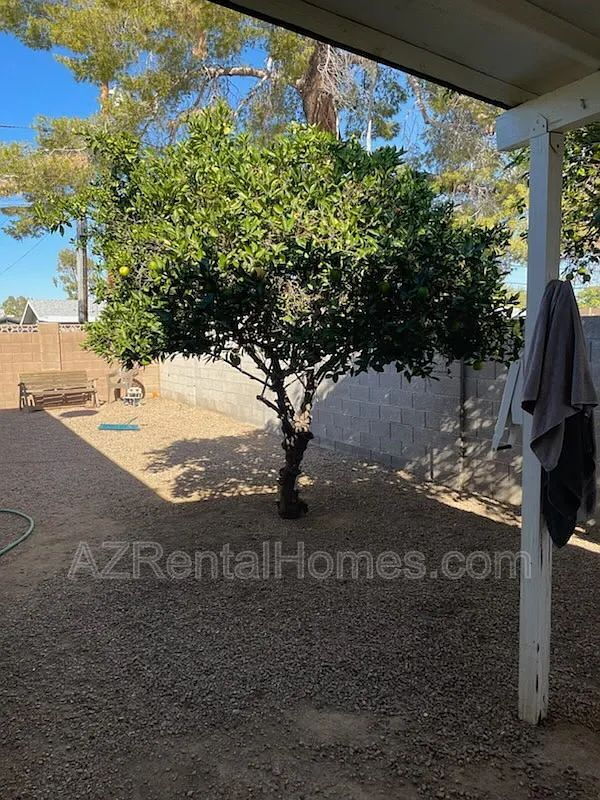 Building Photo - 6820 E Avalon Dr