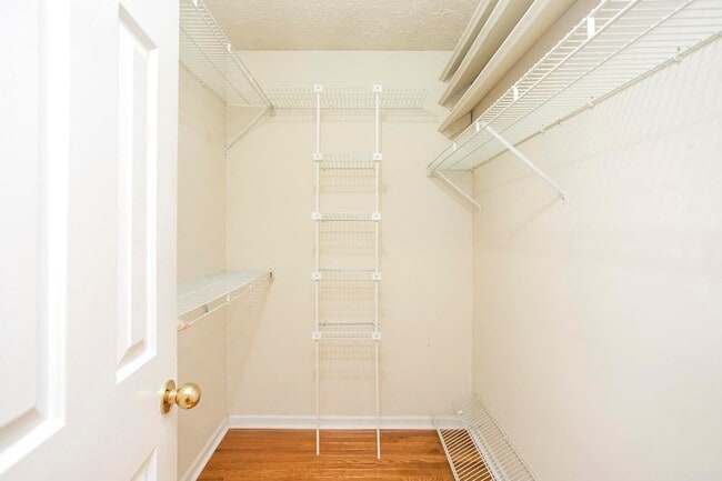 Building Photo - 1508 Clover Ct