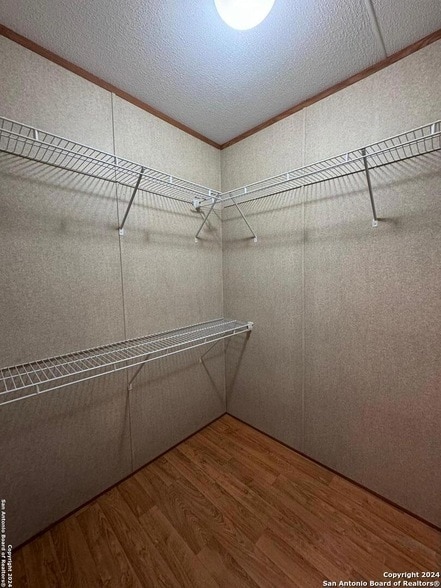 Building Photo - 244 Cactus Wren Loop