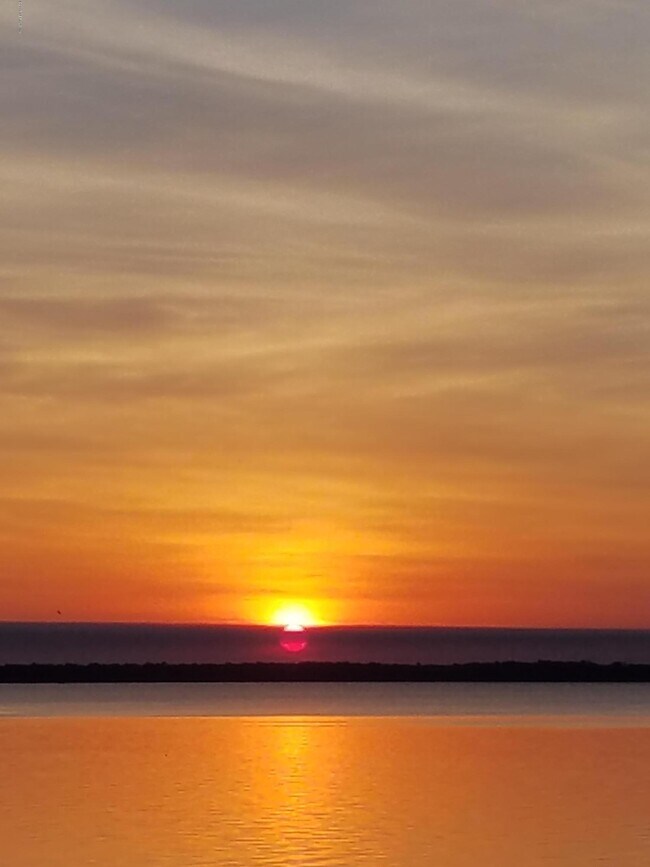 Building Photo - 212 St Johns Ave