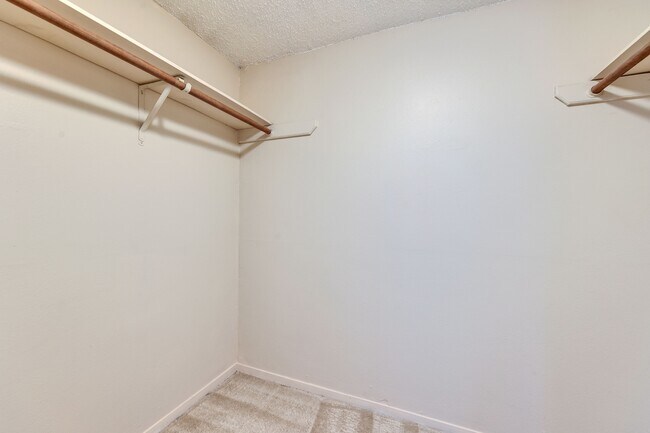 Building Photo - 3002 Breeze Terrace