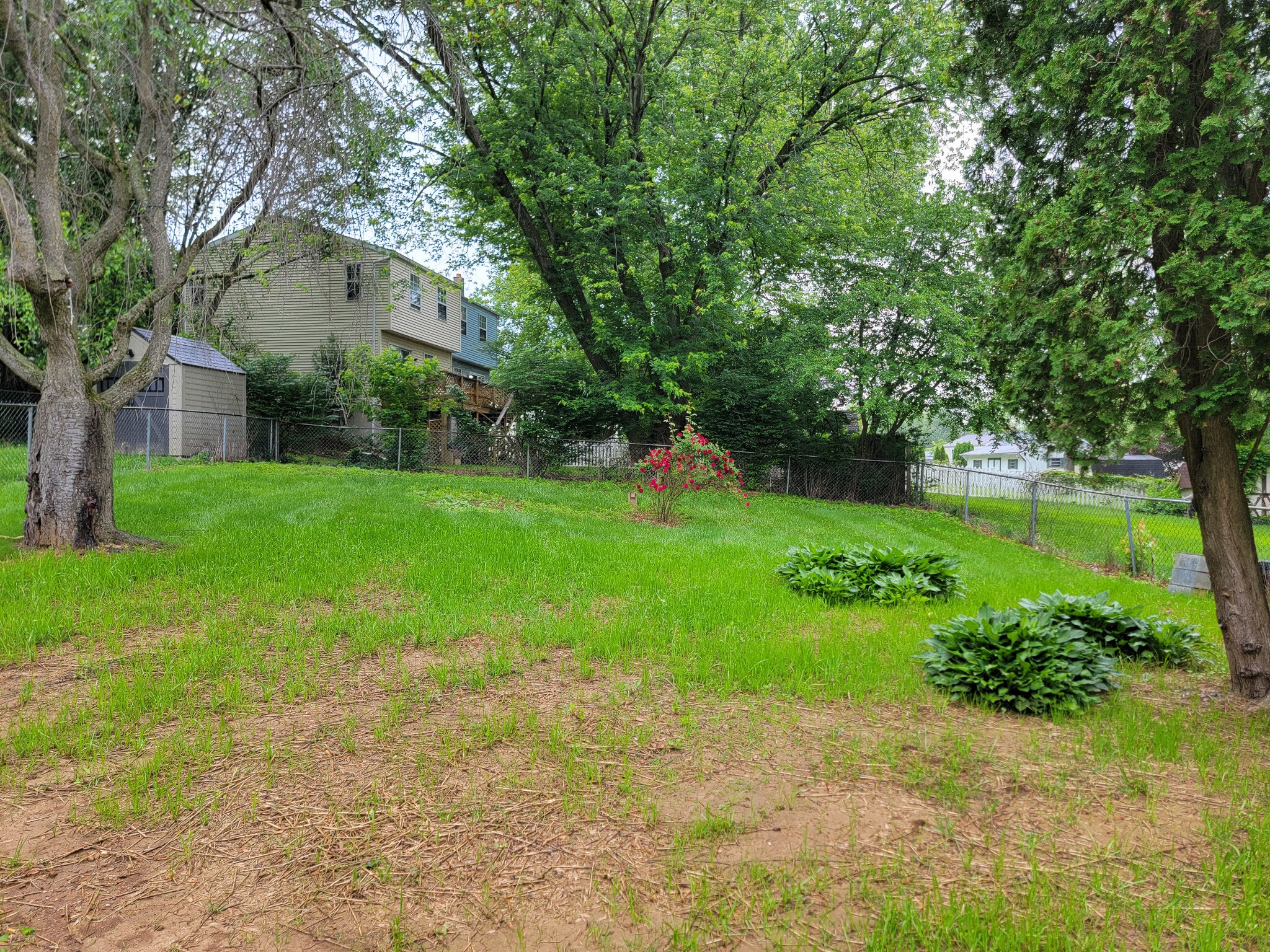 Building Photo - 1007 Monticello Ln
