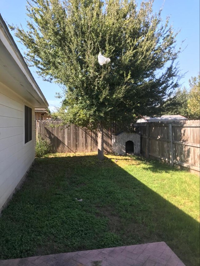 Building Photo - 3407 San Esteban Ct