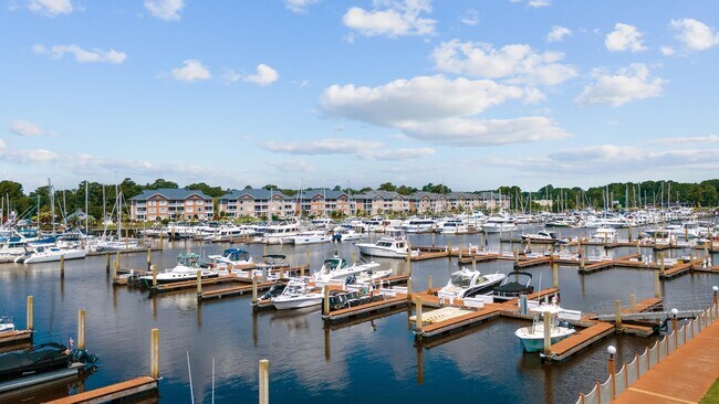 Building Photo - 4440 Nassau Ct