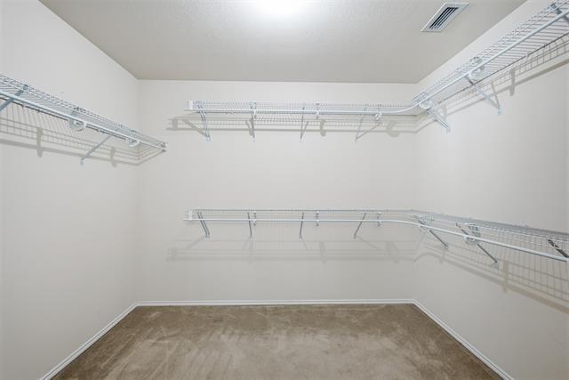 Building Photo - 2229 White Rock Ln