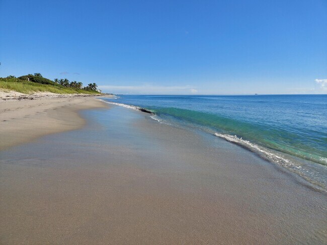 Building Photo - 5530 N Ocean Blvd