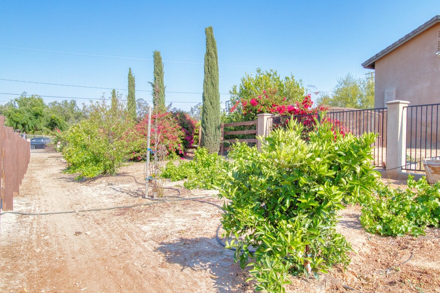 Fruit Orchard - 15671 Ridgeway Ave