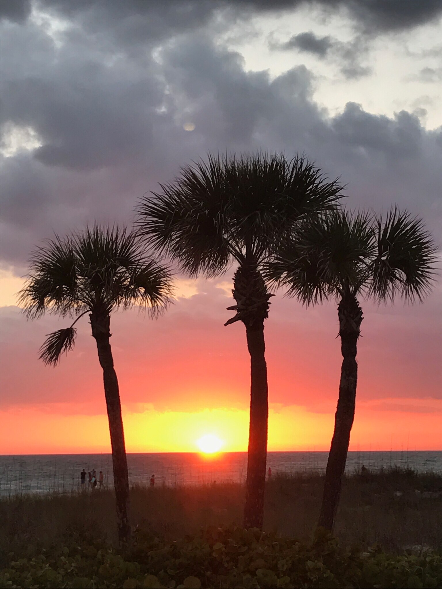 Building Photo - 1055 W Peppertree Dr