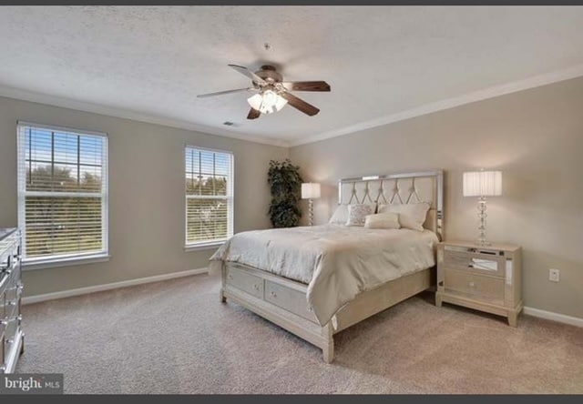 master bedroom - 705 Harvest Run Dr