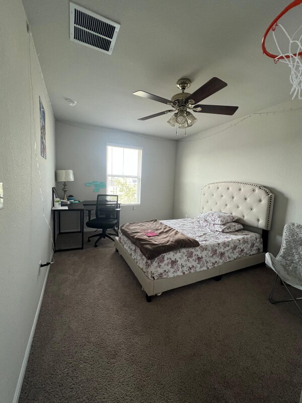 Building Photo - 312 Blue Hibiscus Dr