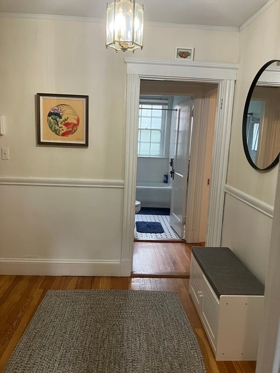 Building Photo - 41 Linnaean St