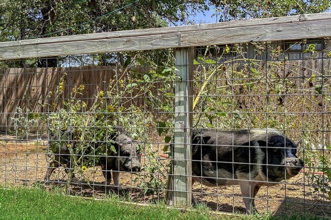 Building Photo - 671 Shiloh Rd
